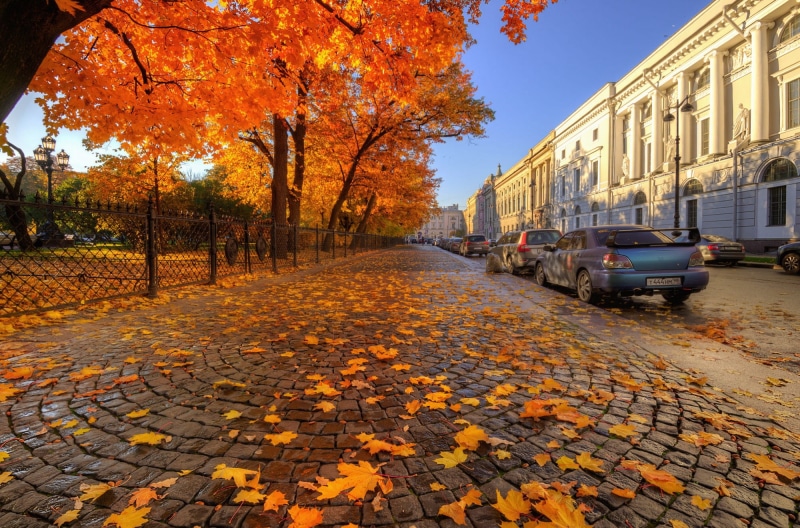 Saint Petersburg, street, 1080P, Ed Gordeev, auto, Gordeev Edward, autumn