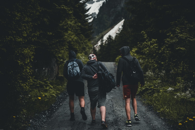lifestyles, green, middle, hike, people, road, looking away, path, woodland, walking away, tree, trees, land, group, outdoors, day, rear view, real people