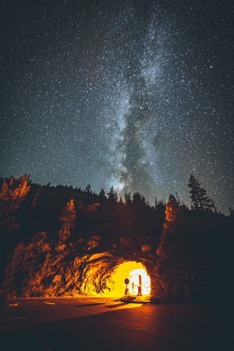 christmas, 5K, space, outdoors, night, astronomy, silhouette, californium, explore, adventure, wanderlust, nature, galaxy, tree, sky, science, milky Way