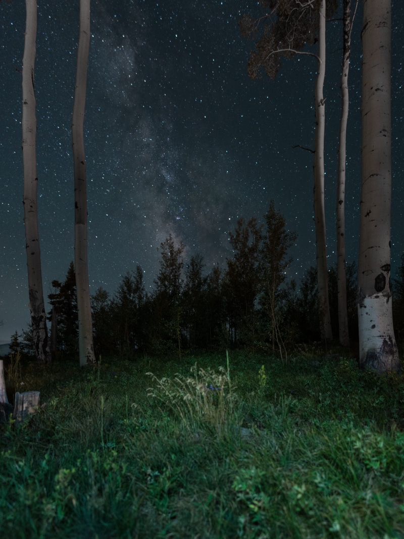 smoke, starry, no people, grasses, time, plant, beauty in nature, 5K, sky, gray, light, outdoors, milkyway, tranquility, tranquil scene, forest, dark