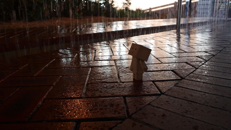 paving stone, nature, no People, rain, outdoors, road, brown, day, water, footpath, cardboard, sunlight, evening, tree, toy, reflection, flooring, tiled floor