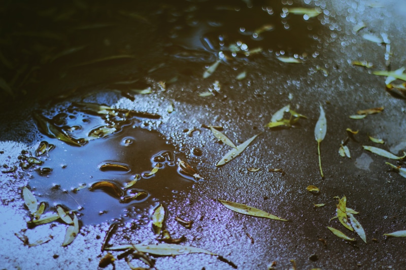 nature, water, puddle, wet, bokeh, reflection, drop, leaf, no people, lake, dark, day, plant, rain, waterfront, close-up, raindrop, outdoors, high angle view