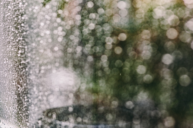 snow, rain, typing, rainy, textured, glass - Material, rainy day, abstract, working, outdoors, cold temperature, backgrounds, window, plant, focus on foreground