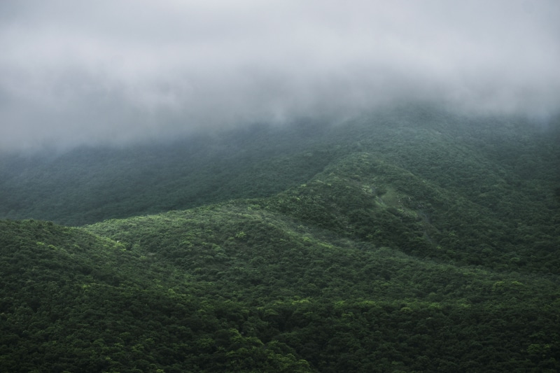 no people, wood, overcast, mountain range, outdoors, rainforest, land, rain, colour, forest, landscape, 4K, outdoor, beauty in nature, torrential rain