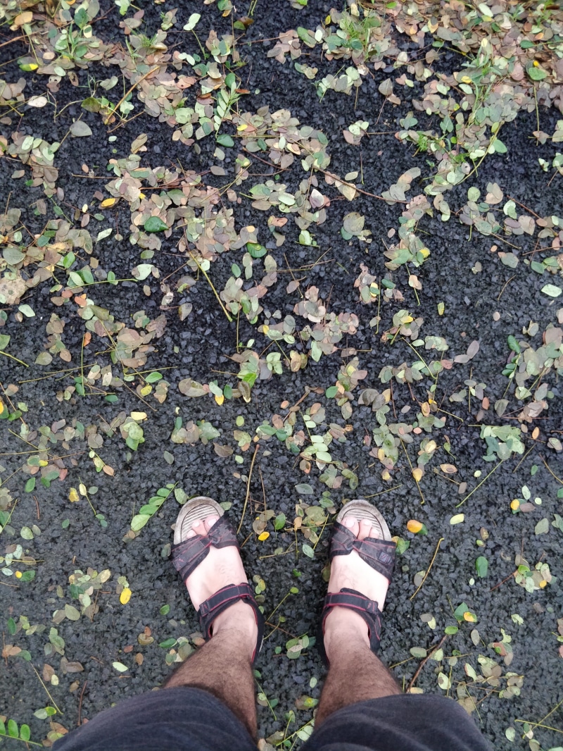 background, high angle view, sandals, body part, plant part, nature, leisure activity, 4K, change, tamhini ghat, monsoon, outdoors, personal perspective