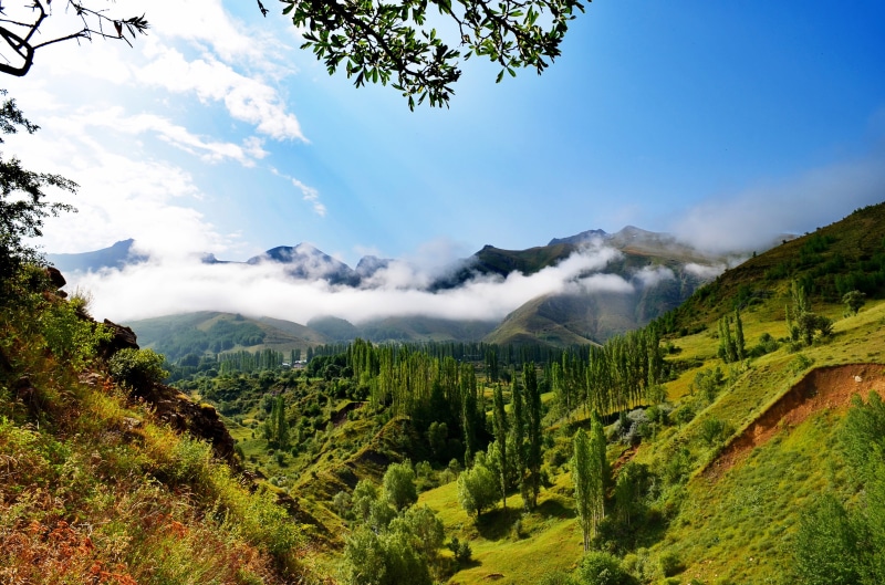 green, cloud - sky, nature, non-urban scene, outdoor, outdoors, highland, landscape, black sea, scenics - nature, kaçkars, season, plateaus