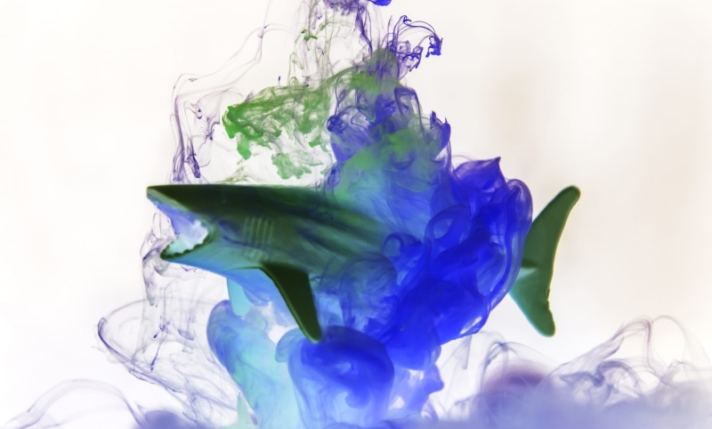 nature, multi colored, creative, ink, figure, decoration, dissolve, color in water, flower, colorful, fish, drip, explosion, blend, motion, deep, cloud