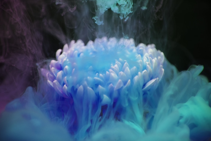 blue, sea anemone, water, drop, fog, cloud, 2K, smoke, sea life, animal wildlife, animal, surrounded, digital, background, splash, detail, arty