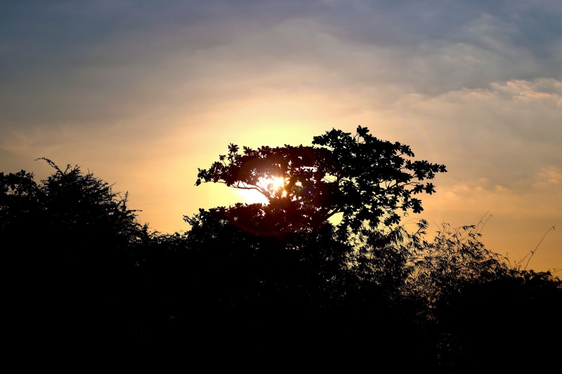 sunshine, Sunset, weather, natural, outdoor, mountain, non-urban scene, sunny, park, lens flare, vacation, tree, environment, hill, green, grass, tourist