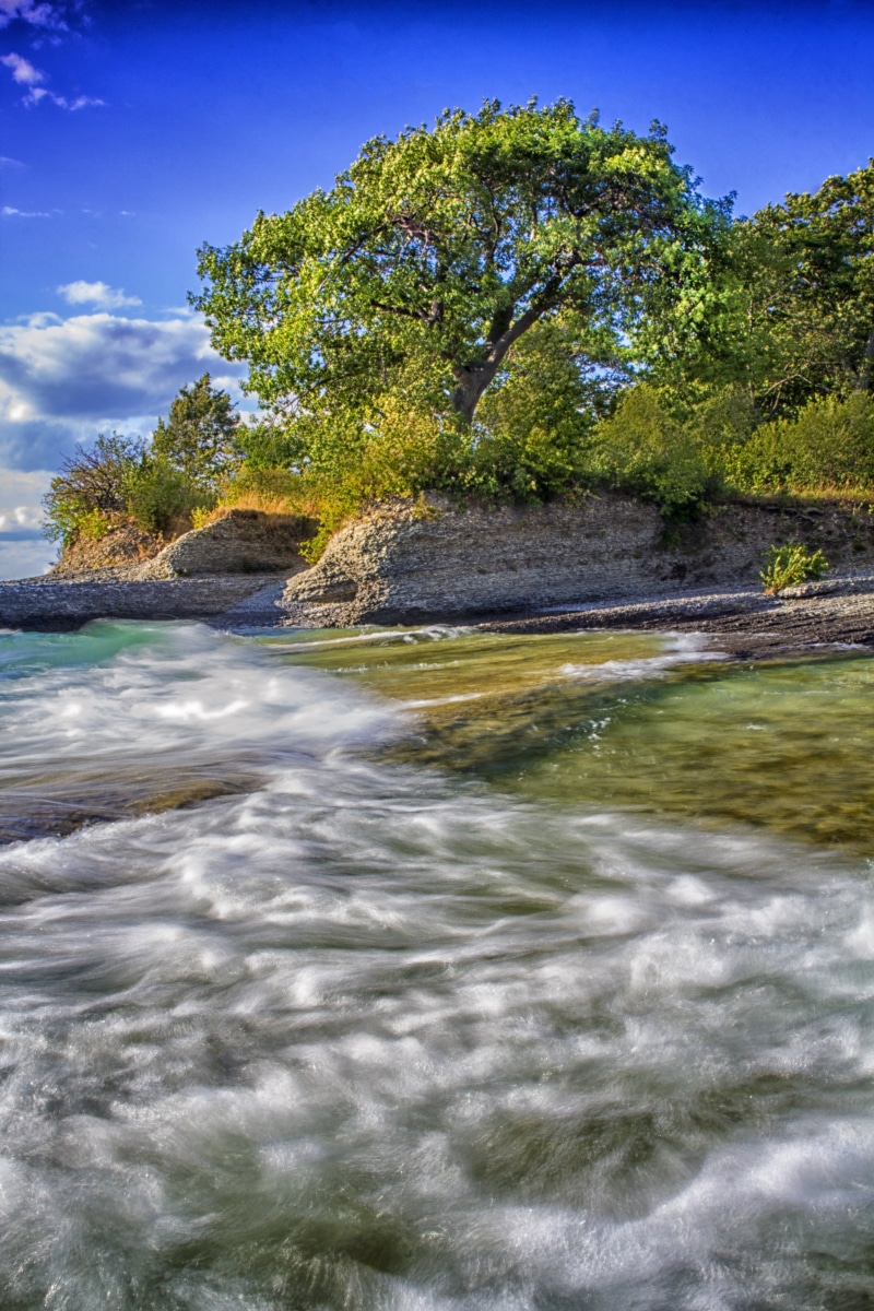 nature, travel, sun, pebbles, seascape, flowing water, slow shutter, water, leaves, brown, seaside, beach, green color, environment, countryside, land