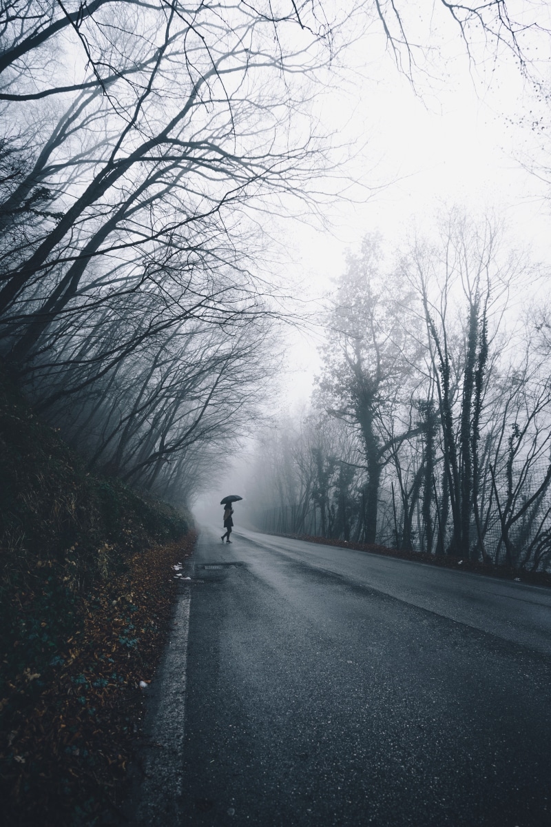 adventure, person, plant, beauty in nature, bare tree, nature, rain, day, solitude, trees, forest, woods, diminishing perspective, tree, travel, tranquility