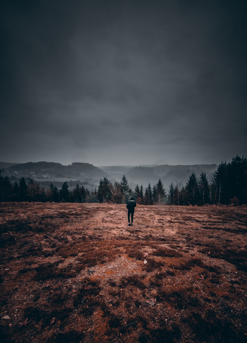non-urban scene, lake, nature, moody, field, land, tranquility, near, plant, brown, cloud - sky, lost, scenics - nature, forest, outdoors, environment