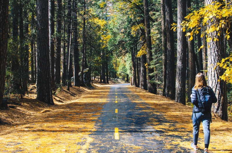 people, wearing, casual clothing, road, bubble, alone, plant, girl, tree, adventure, lifestyles, one woman only, rear view, day, transportation, direction