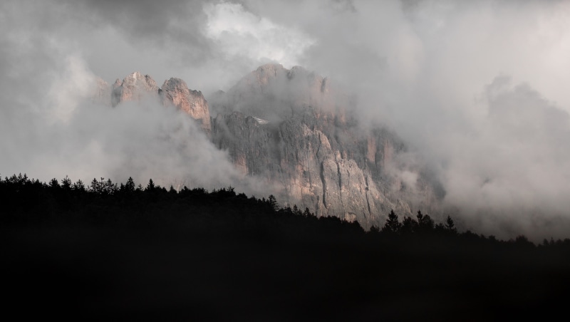 pine tree, woods, mist, sky, trees, dawn, tree, forest fire, fog, land, mountain, smog, beauty in nature, forest, landscape, pine woodland, mountain peak