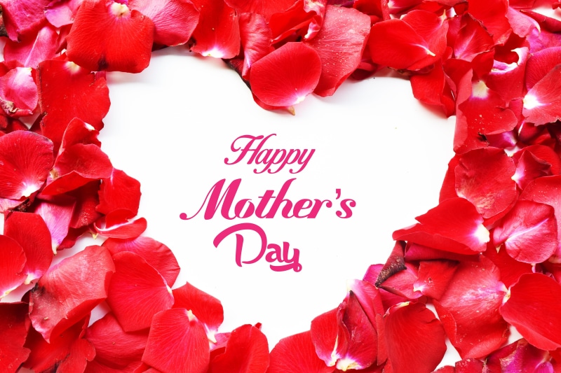 surprise day, rose - flower, valentines day - holiday, colorful, saint, western script, message, bouquet, flowers bouquet, bow, flower bouquet, 5K, beauty in nature