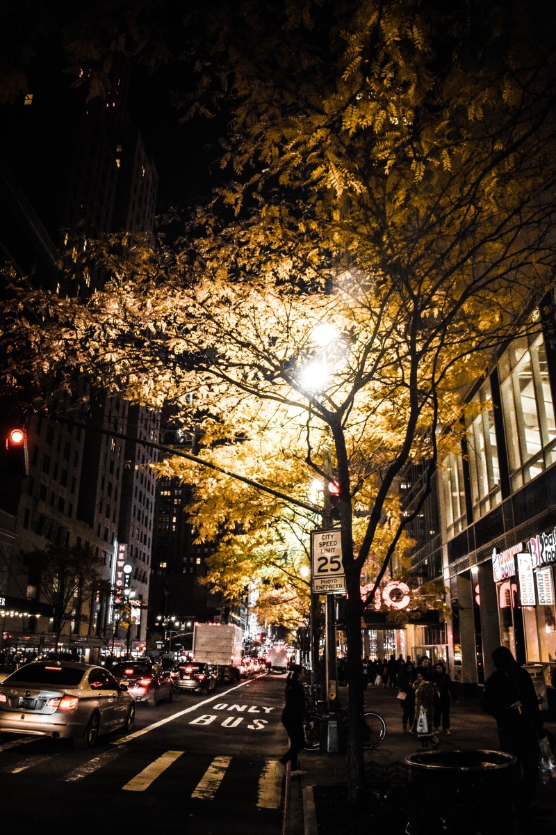 vehicles, night, building exterior, 5K, illuminated, nighttime, zebra crossing, built structure, city life, pedestrian crossing, motor vehicle, pavement