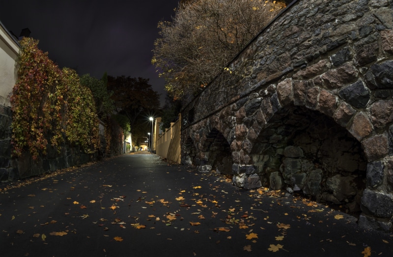 gray, tree, night, leaf, trees, diminishing perspective, nature, growth, building exterior, street, wall, road, direction, the way forward, footpath, no people