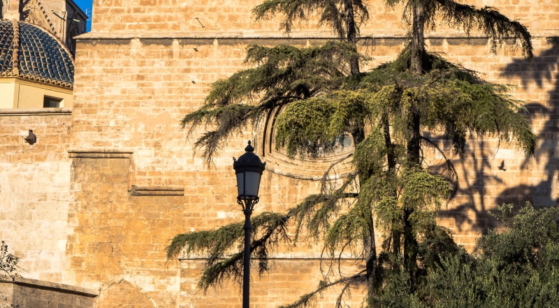 city, wall, tree, 2K, lifestyles, monument, shadow, day, streetview, building exterior, building, valencia, history, one person, built structure, nature