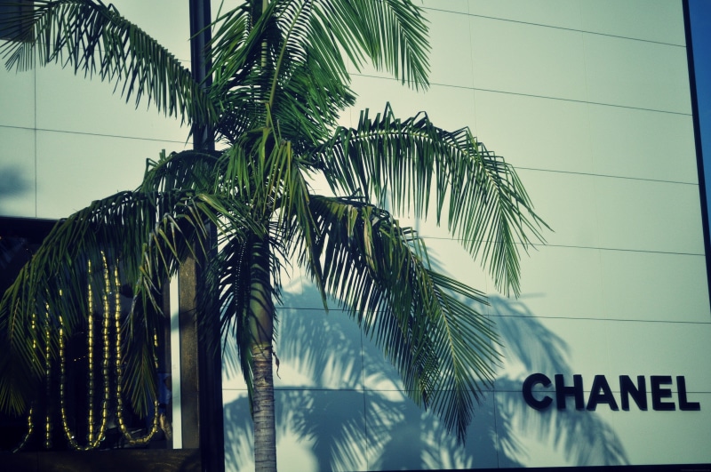palm leaf, green color, no people, low angle view, tropical climate, leaf, plant part, tree, sky, palm tree, day, architecture, nature, outdoors, built structure