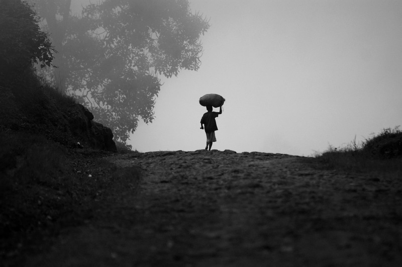 childhood, lifestyles, plant, one person, children of uganda, rural, uganda, vanity, boys, walking, offspring, village, gray, child, 2K, holding, adventure
