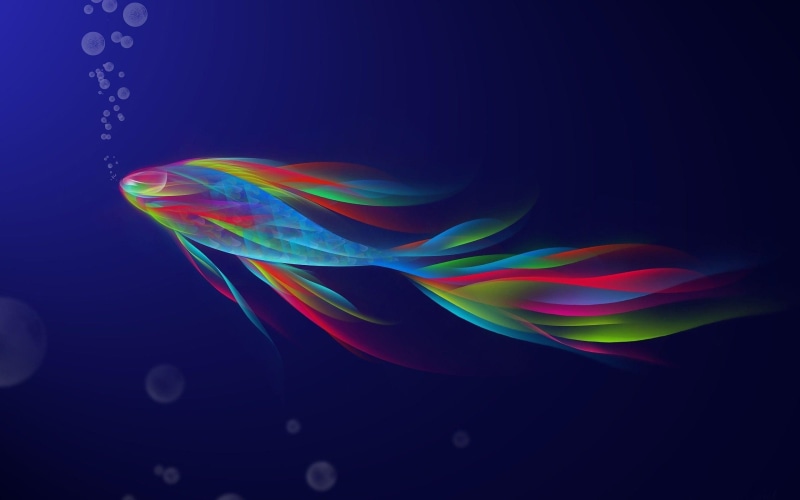 digital art, illustration, color, fish, multi, 2K, 2560x1600, translucent