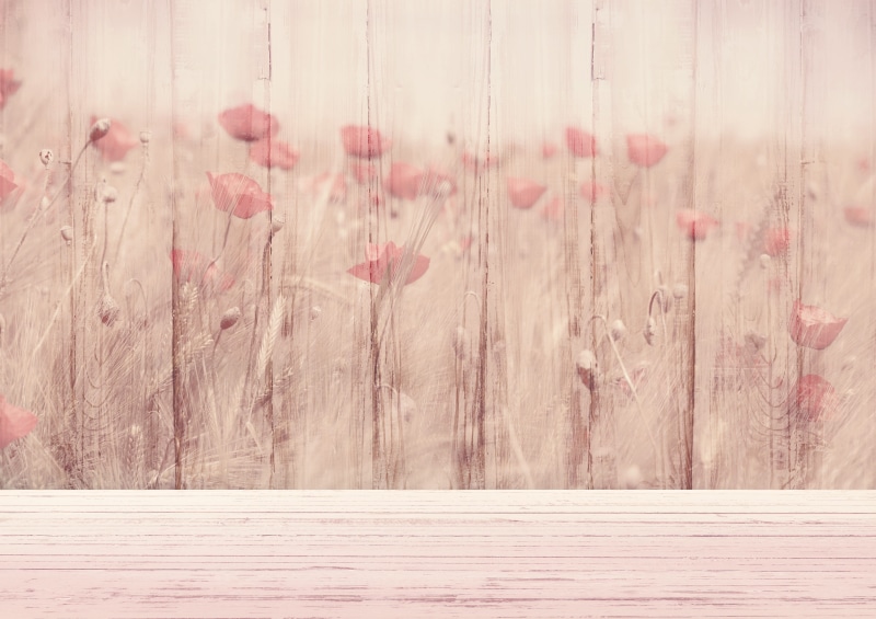 nature, wood, growth, greeting card, vintage, rustic, picturesque, field of flowers, digital map, full frame, texture, atmospheric, flowers, table, birthday card