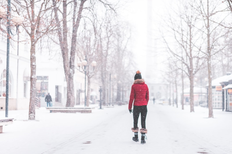 warm clothing, woman, city, extreme weather, clothing, girl, park, caucasian Ethnicity, real people, snow, tree, day, winter hat, winter, snowflakes, women