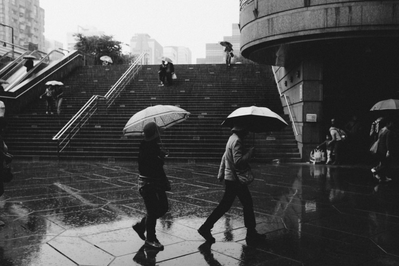 people, weather, umbrella, 4K, walking, built structure, street, city, black And White, protection, building exterior, real people, rain, grey, adult