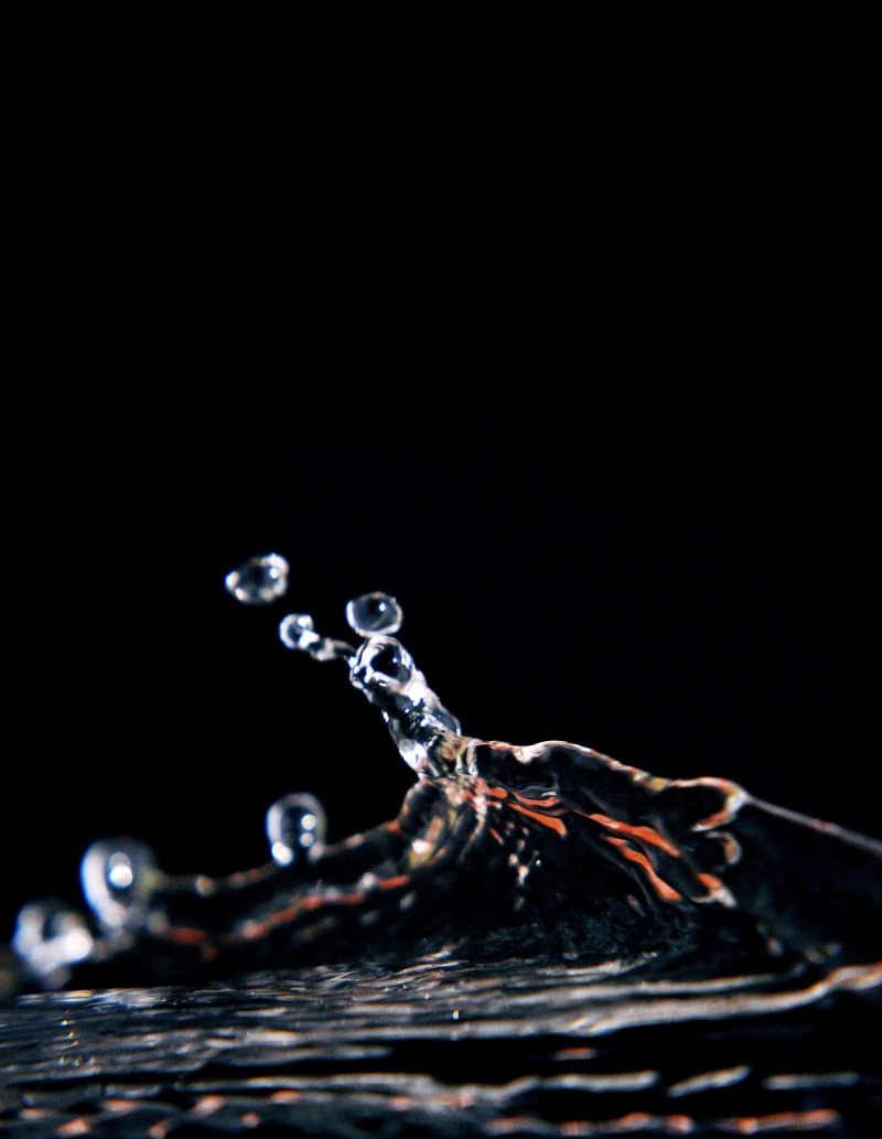 motion, animal themes, splashing, high-speed photography, 2K, waves, clear, droplets, flow, time-lapse, smooth, wave, copy space, one animal