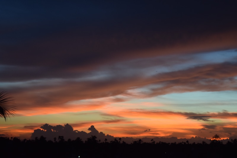 nature, tranquility, plant, horizontal plane, sun, sky, 5K, dramatic sky, evening, tranquil scene, no people, landscape, cloud - sky, dark, orange color