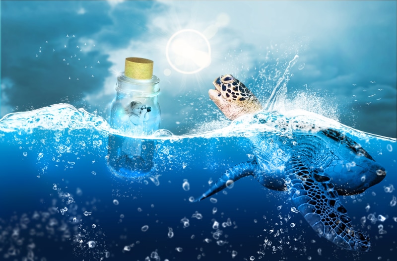 outdoors, clouds, shell, digital composite, one animal, 5K, bubble, motion, glass bottle, person, sunny, cold, reflection, illustration, light, surface level