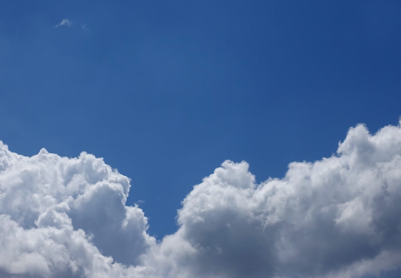 white, beauty in nature, softness, nature, clouded sky, outdoors, close, brightly lit, vibrant color, summer day, overcast, white color, blue, meteorology
