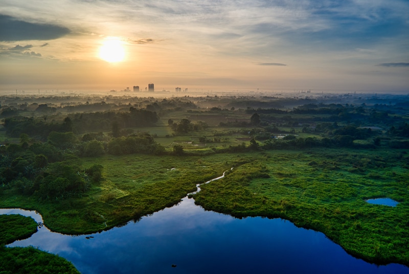 plant, indonesia, drone cam, scenic, view, farmland, sunrise, tranquil scene, fair weather, 5K, tranquility, dawn, dusk, farming, green color, sunset