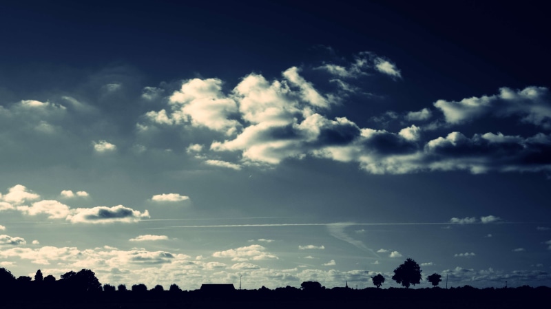 dark, idyllic, clouds, 4K, trees, cloudscape, beauty in nature, day, ominous, backlit, tranquil scene, environment, silhouettes, low angle view, sunlight
