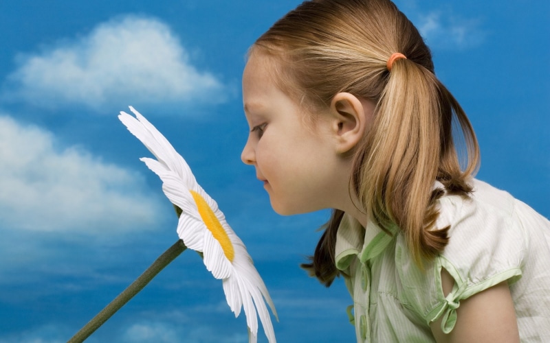 Girl, Flower, 1080P, Cute, smell