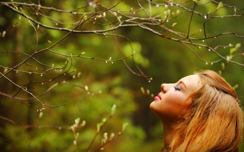 3d and abstract, blonde, smell, 2K, beauty, nature, forest, tree, spring, buds