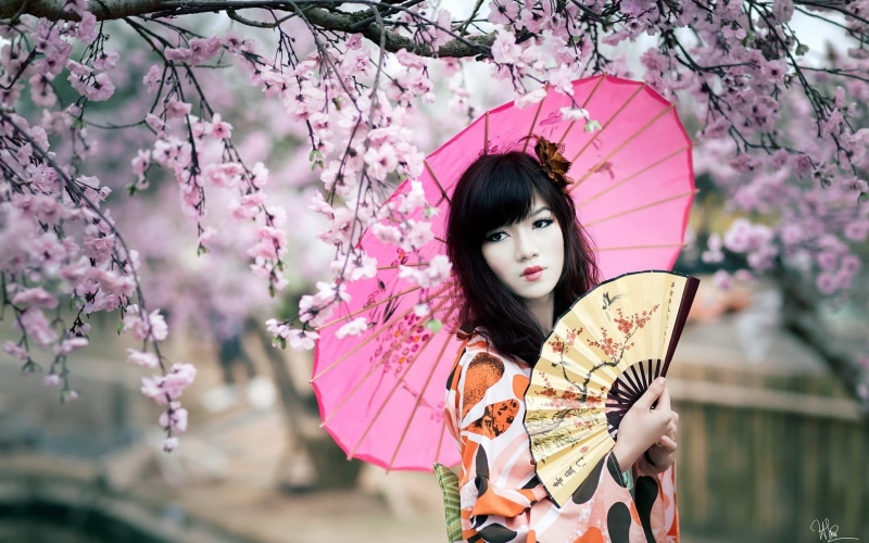 umbrella, springtime, cherry tree, parasol, lifestyles, flower in hair, flowering plant, 1080P, hair, one person, Asian, nature, real people, young women