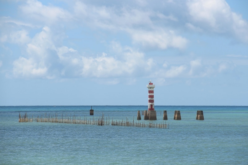 guidance, Maceió, safety, no people, water, 5K, horizon, scenics, tranquil scene, sea, nature, green tip, Alagoas, wooden post, sky, scenics - nature