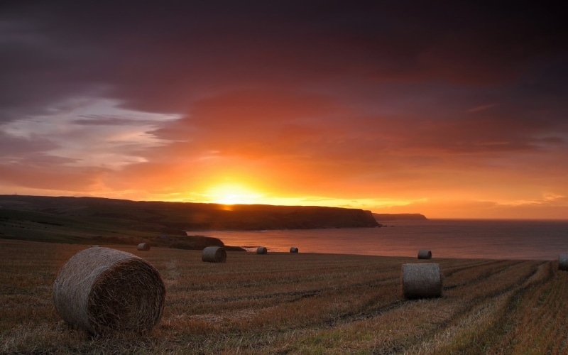 beauty in nature, 720P, no people, sunset, bale, land, sunlight, tranquility, sun, agriculture, scenics - nature, tv, outdoors, field, rural scene, farm