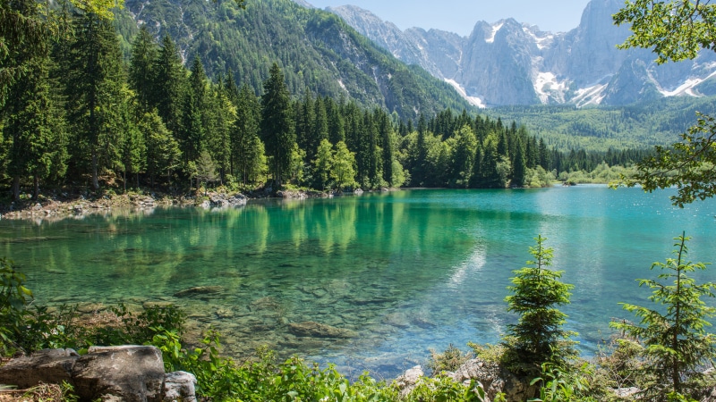 8K, land, coniferous tree, lake, tree, tranquil scene, non-urban scene, tranquility, beauty in nature, outdoors, plant, pine tree, green color, remote