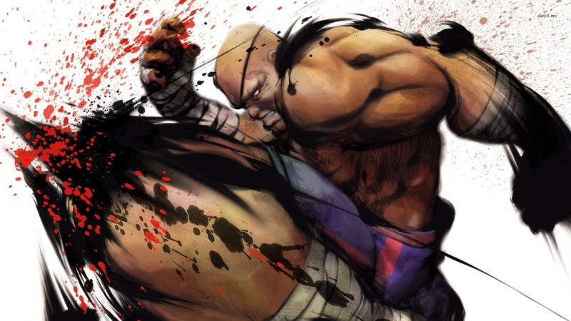 adult, lifestyles, leisure activity, relaxation, one person, hairstyle, real people, pets, eyes closed, 1080P, waist up, video games, young adult, Sagat (Street Fighter)
