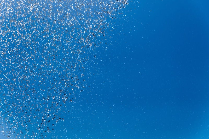 no people, the background, rain, desktop background, water, full frame, mid-air, blue, drops of water, blue background, color, nature, the cascading water