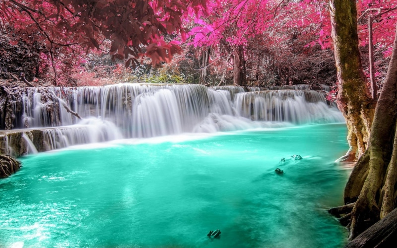 landscape, waterfall, pond, white, 1080P, leaves, tropical, trees, Thailand, nature, turquoise, forest, river, pink, colorful