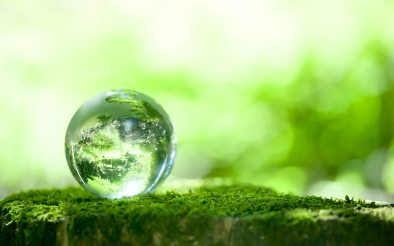 close-up, plant, day, balls, green color, tree, transparent, 2K, ring, wood, crystal ball, beauty in nature, selective focus, reflection, environment