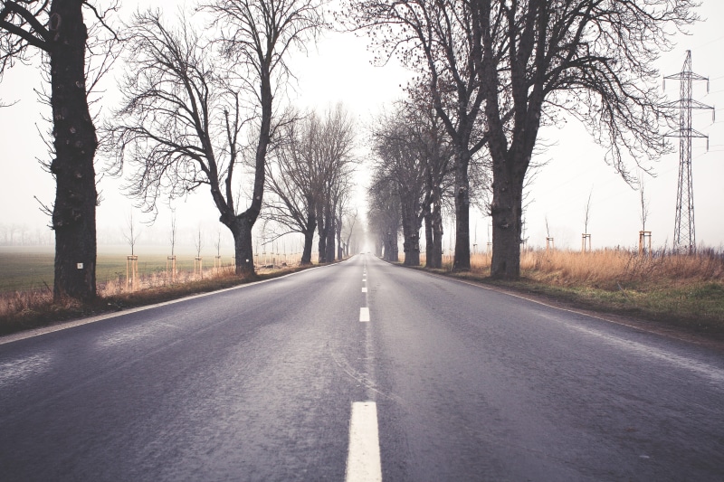 direction, vanishing Point, tranquility, road, transportation, road marking, fog, 4K, diminishing perspective, street, Winter Road, scenics, bare tree