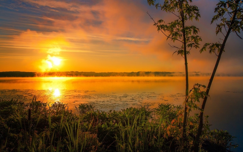 green, Sunrise, Fog, Morning, leaf, Summer, Clouds, Sun, Lake, 1080P, plants
