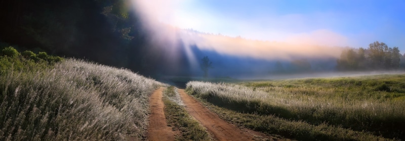 footpath, grass, rural scene, nature, morning, sunlight, trees, mist, panorama, 1080P, outdoors, sun, fog, sky, dirt road, landscape, plant, scenics - nature