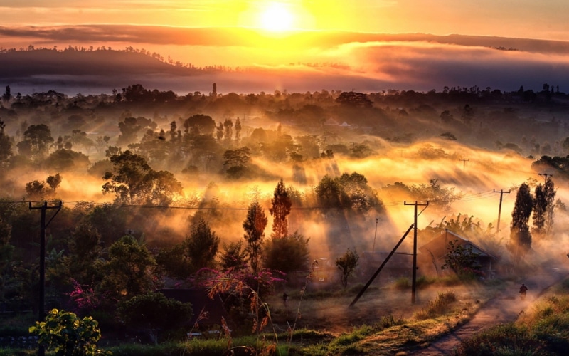 sunlight, fog, tree, road, 720P, hills, tranquility, outdoors, sunset, plant, cloud - sky, morning, landscape, trees, sun rays, scenics - nature, sky