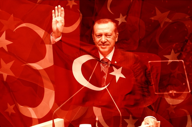 politician, mid adult, emotion, standing, people, red, demokratie, one man only, erdogan, smiling, vote, portrait, parliament, looking at camera, happiness