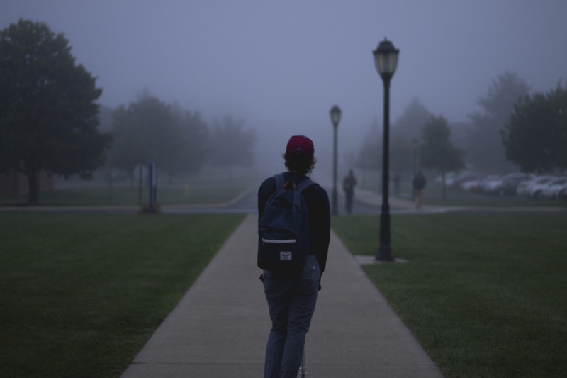 student, street light, nature, park, fog, blue, standing, person, leisure activity, footpath, plant, real people, grass, walk, field, backpack, pants, rear view